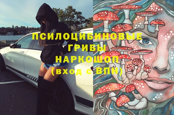 круглые Алексеевка