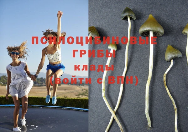 герыч Абинск