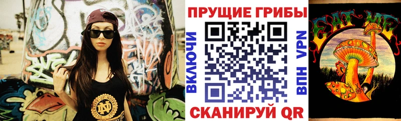 Псилоцибиновые грибы Psilocybine cubensis  это клад  Емва 