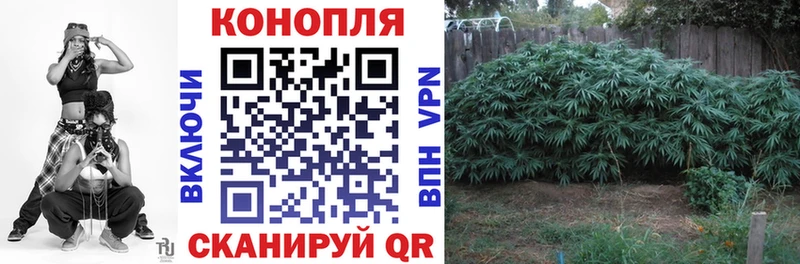 Шишки марихуана план  Емва 